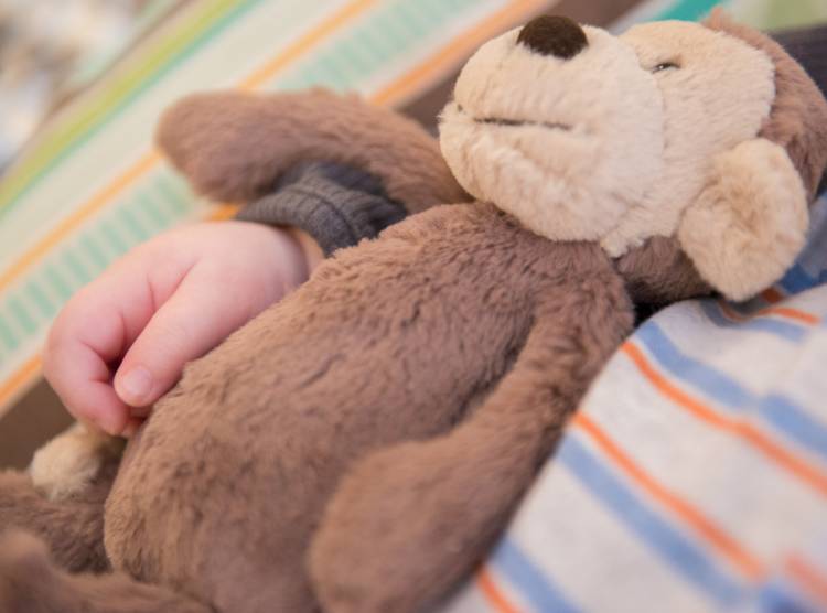 Child with hand around teddy bear during hospital stay at Gillette Children's Specialty healthcare