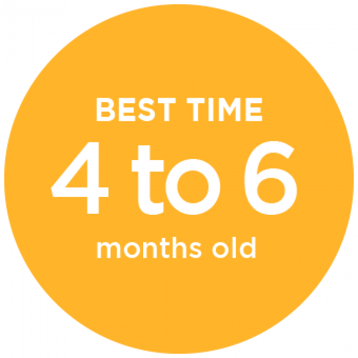Best Time for CranioCap 4 to 6 Months Old