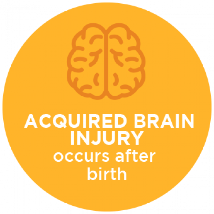 Acquired Brain Injury Occurs After Birth