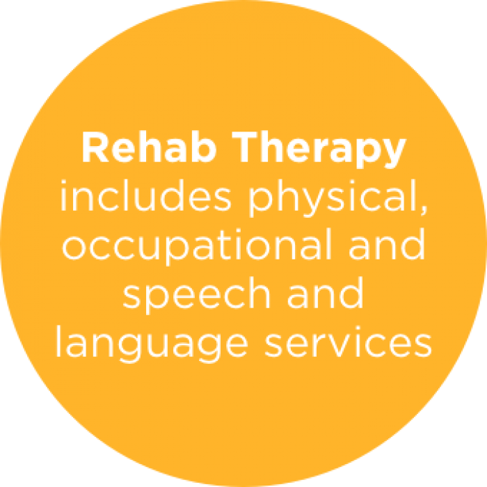 Rehab Therapy includes physical, occupational and speech and language services